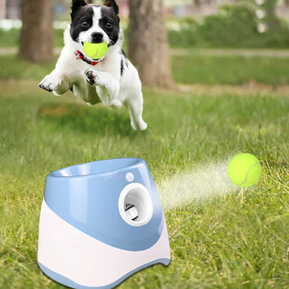 Automatic Ball Launcher for Dogs
